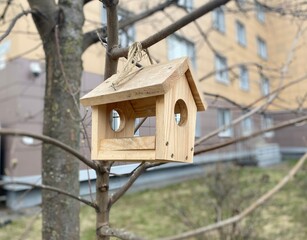A bird feeder on the tree and building urban landscape photo 