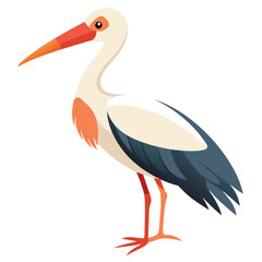 Stork isolated on white background 