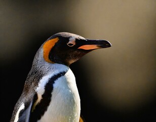 Naklejka premium Pinguin