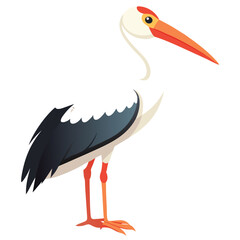 Stork isolated on white background 