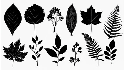 Set of one Leaves Vector illustration silhouette image icon