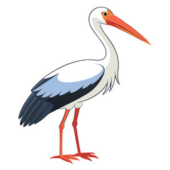 Stork isolated on white background 