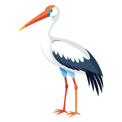 Stork isolated on white background 