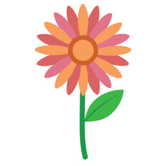 African daisy flower vector isolated on white background