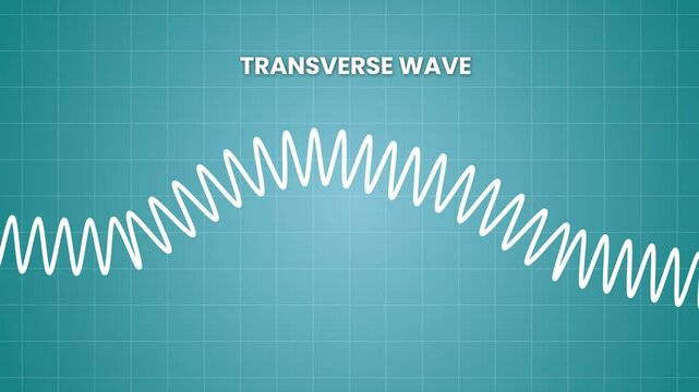 Transverse Waves, 2D animation video of Transverse Waves. Animated 4K video of Transverse Waves.