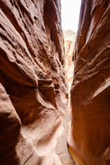 Eroded by water and wind cliffs in the canyon, Little Wild Horse Canyon, San Rafael Swell, Utah