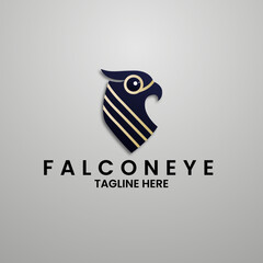 FALCON EYE