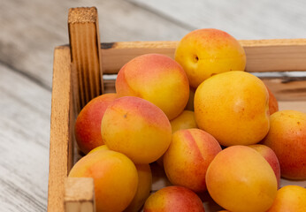 ripe fruit images. apricot photos.