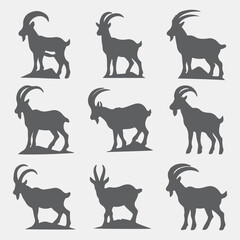 wild animals collection