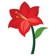 Amaryllis flower vector isolated on white background