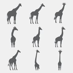 vector silhouettes of animals