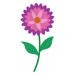 Carnation flower vector isolated on white background