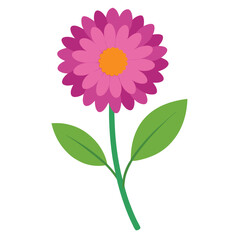 Carnation flower vector isolated on white background