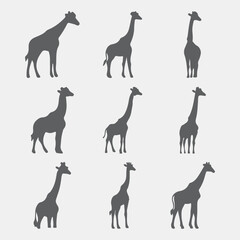 set of silhouettes of animals