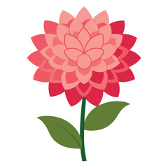 Dahlia flower vector isolated on white background