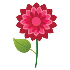 Dahlia flower vector isolated on white background