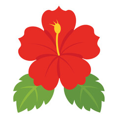 Hibiscus flower vector isolated on white background