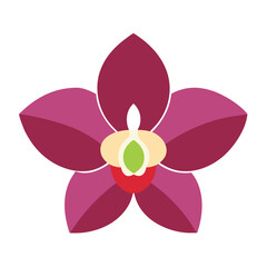 Orchid flower vector isolated on white background