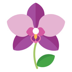 Orchid flower vector isolated on white background