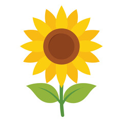Fototapeta premium Sunflower vector isolated on white background