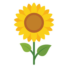 Fototapeta premium Sunflower vector isolated on white background