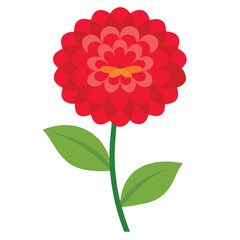 Zinnia flower vector isolated on white background