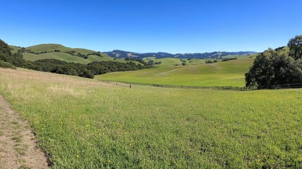 Naklejka premium Rolling Green Hills Under a Vivid Blue Sky