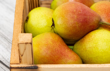 ripe fruit images. pear photos.