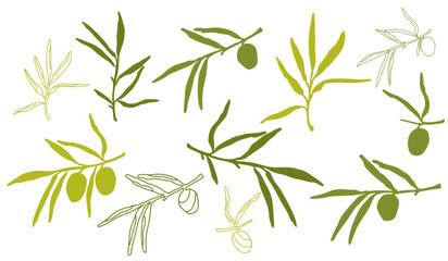 simple drawn mediterranean olive branches, hand drawn olive branches, simple linear branches set for yours design