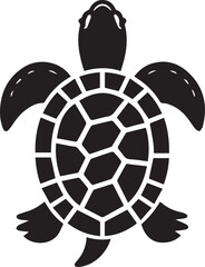 Obraz premium Realistic Turtle Isolated on White Background