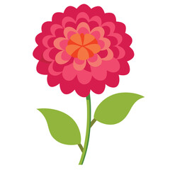 Zinnia flower vector isolated on white background