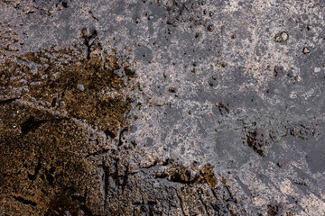wet concrete texture with hatchet marks