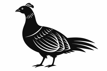 Prairie chicken silhouette black vector