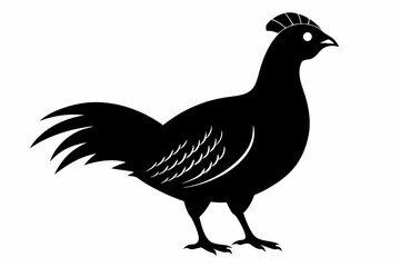 Prairie chicken silhouette black vector