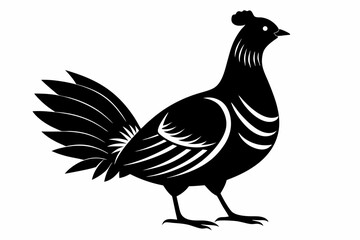 Prairie chicken silhouette black vector