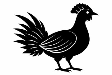 Prairie chicken silhouette black vector