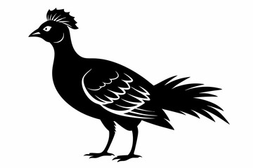 Prairie chicken silhouette black vector