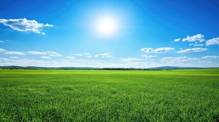 Obraz premium Sunny Day Over Lush Green Field and Blue Sky