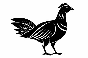 Prairie chicken silhouette black vector