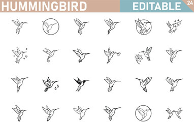 Hummingbird Line Art Vector Illustration Collection Various Poses And Styles