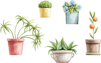 Set with vintage various colorful home indoor flowers in pots isolated on white background. Watercolor hand drawn illustration sketch vector