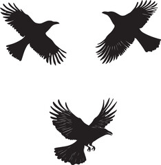 Three Cute birds flying set silhouette