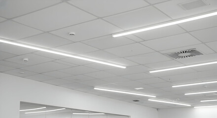 White Modern Ceiling With Linear Led Lighting