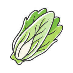 endive icon, endive vector illustration-simple illustration of endive, perfect for endive logos and icons