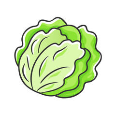 iceberg lettuce icon, iceberg lettuce vector illustration-simple illustration of iceberg lettuce, perfect for iceberg lettuce logos and icons