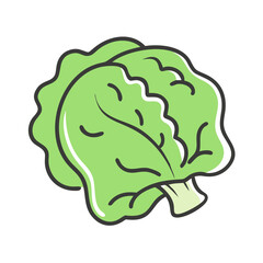 lettuce head icon, lettuce head vector illustration-simple illustration of lettuce head, perfect for lettuce head logos and icons