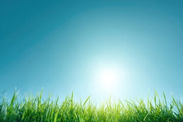 minimalistic clean image capturing first light of summer bright sunrays illuminate fresh green grass