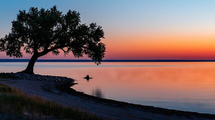 Silhouette of a tree overlooking a calm body of water at sunset