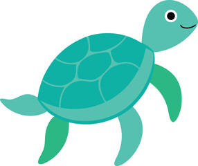 turtle on a white background