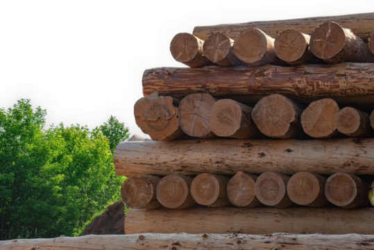 A prepared stack of logs lying on the ground on a transparent background